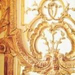 Gold Ivory. Fine Art Photog..